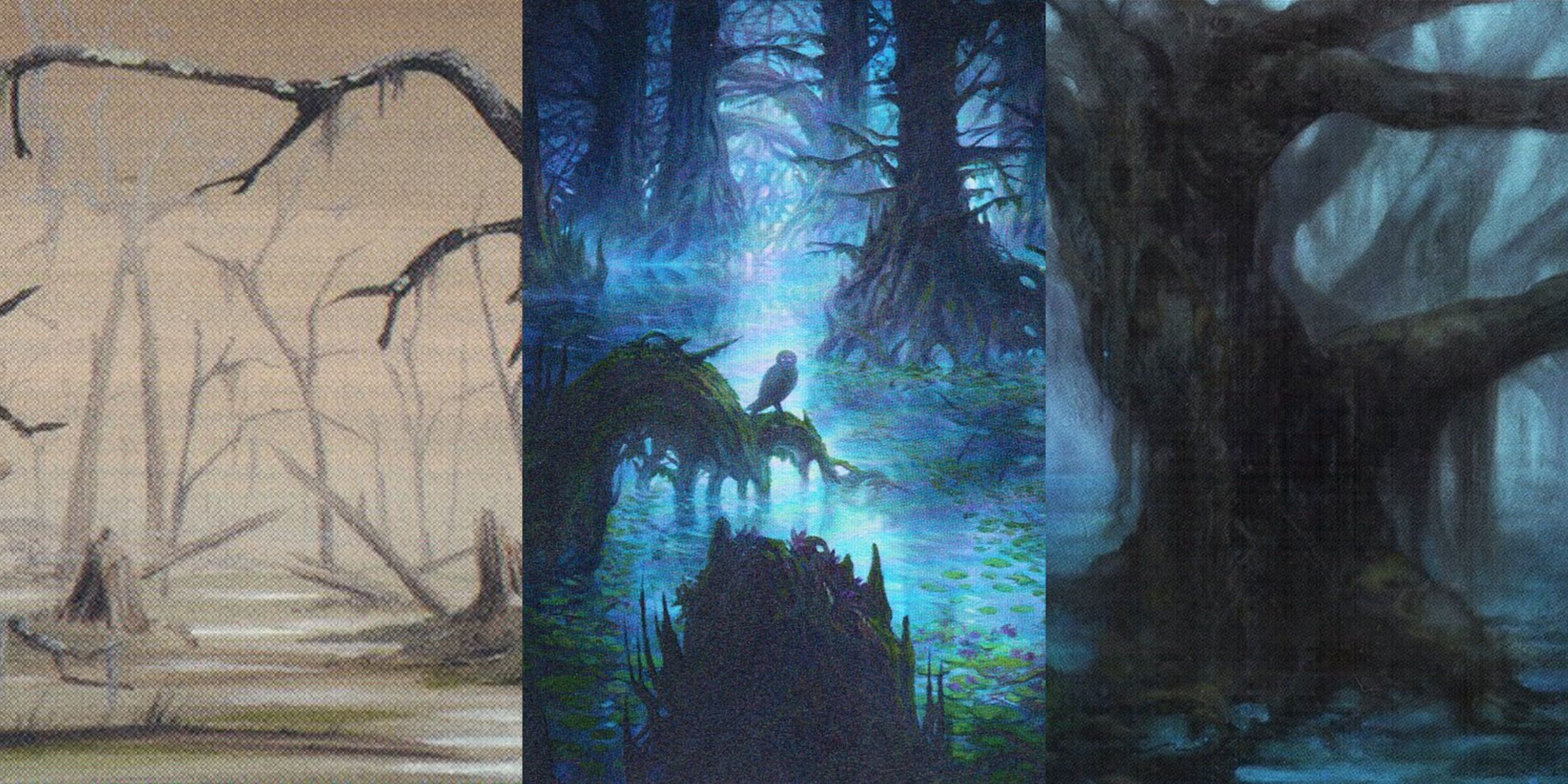 MTG Basic Swamp Art Works.