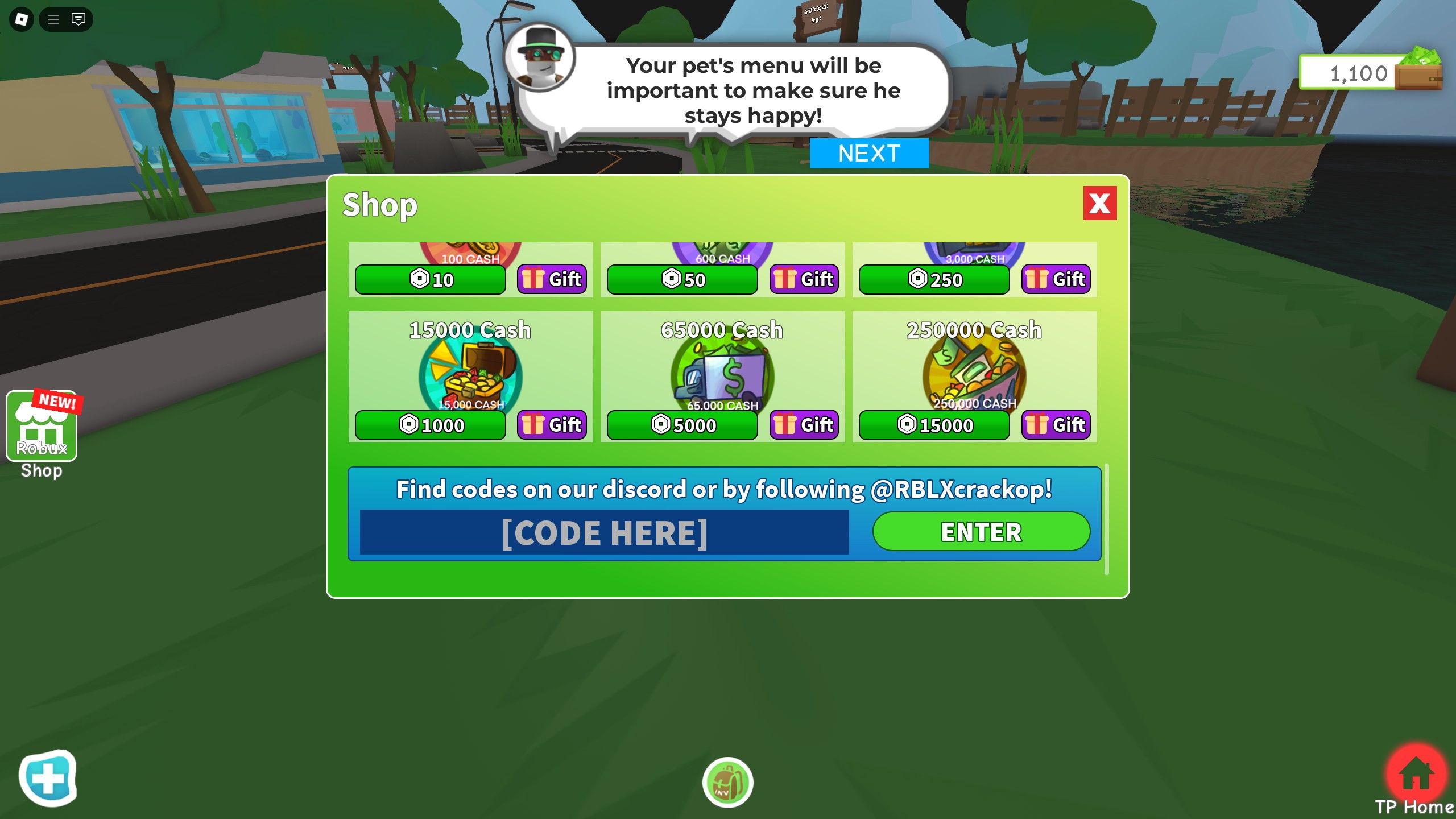 the codes box in Raise Puppies on Roblox