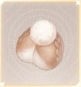 Infinity Nikki Animal Grooming Material Floof Yarn icon..jpg