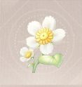 Infinity Nikki Collection Material Daisy icon.