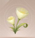 Infinity Nikki Collection Material Windbloom icon.