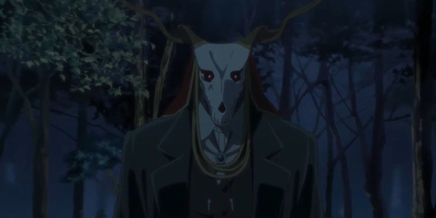 Magus in The Ancient Magus' Bride.