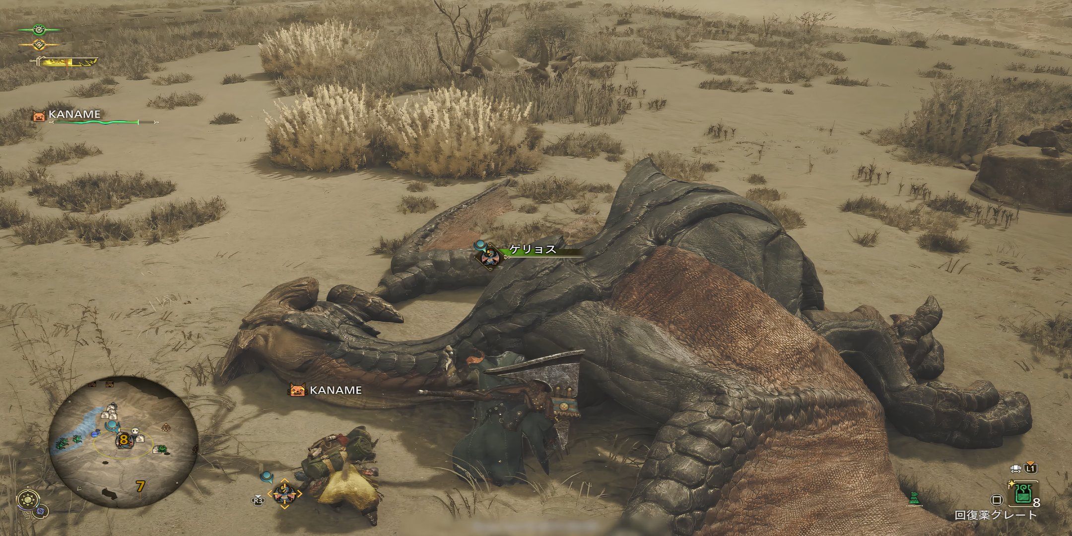 How To Beat Gypceros In Monster Hunter Wilds