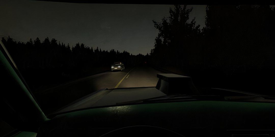 Player driving at night in My Summer Car.