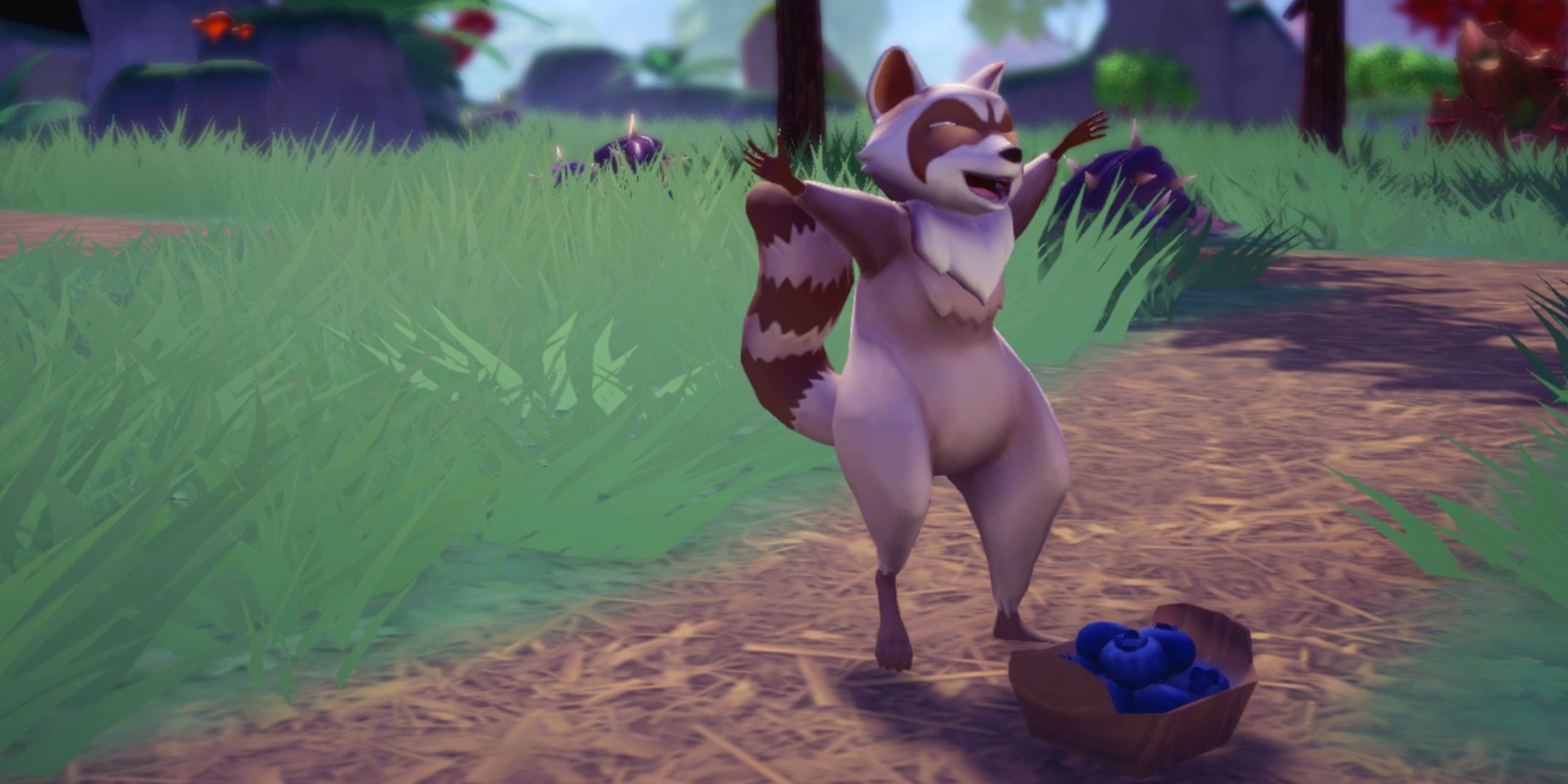 A raccoon happy with blueberries.