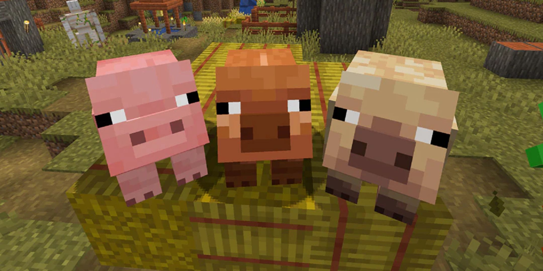 Three different colored pigs stood on hay bales in Minecraft