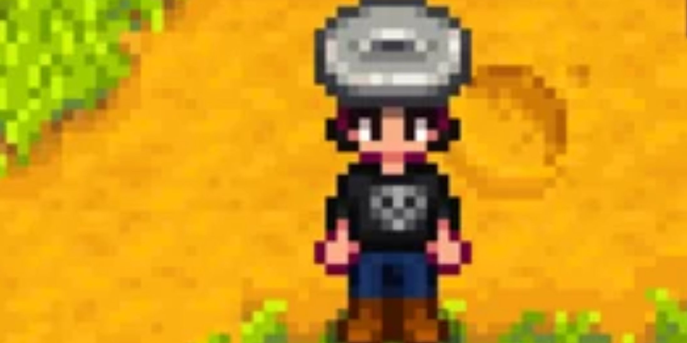 A photo of a Stardew Character posing with a garbage hat.