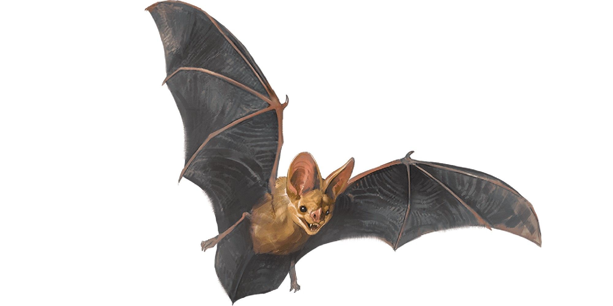Dungeons & Dragons image showing a bat.