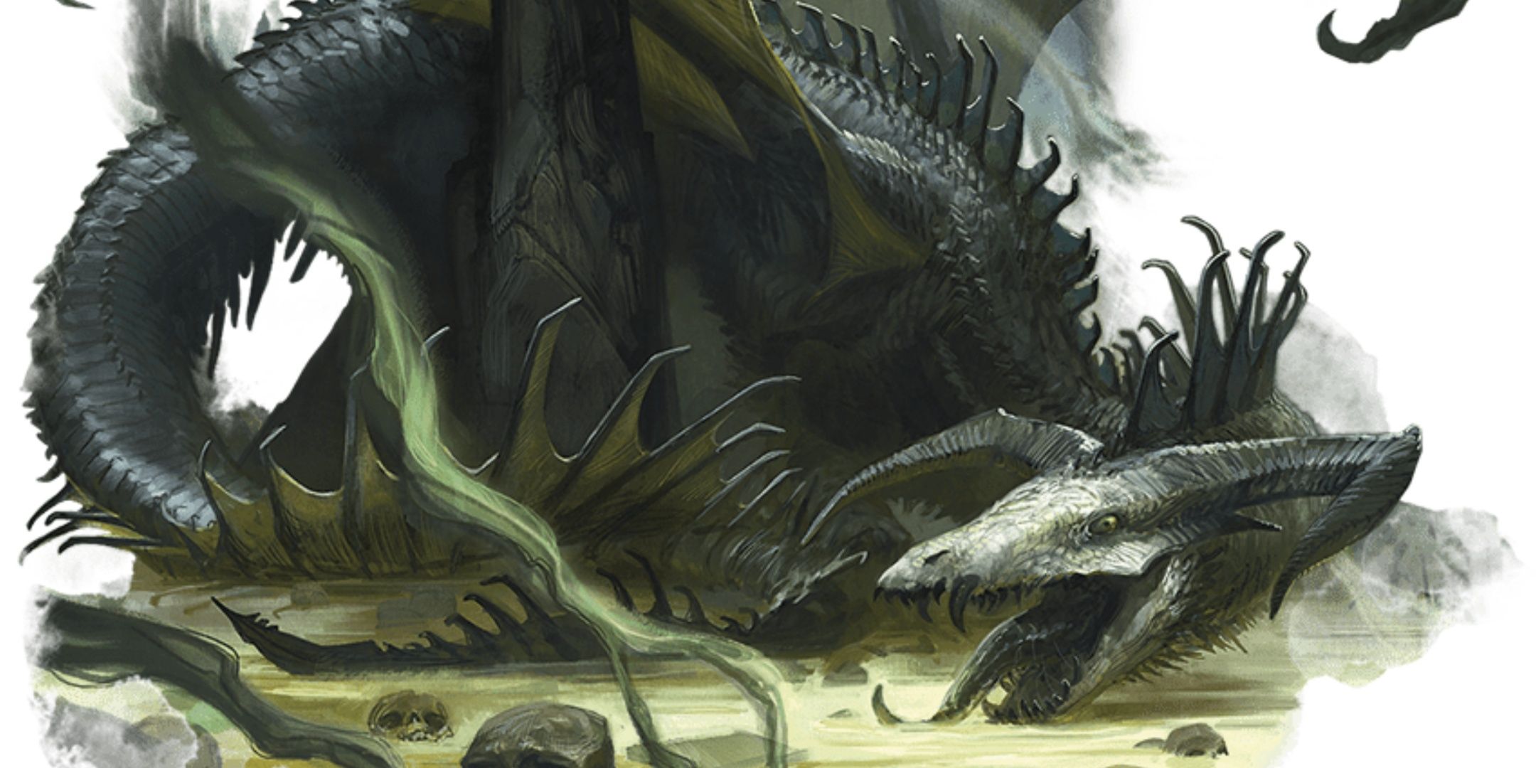 Black Dragon Wyrmling of Dungeons & Dragons.