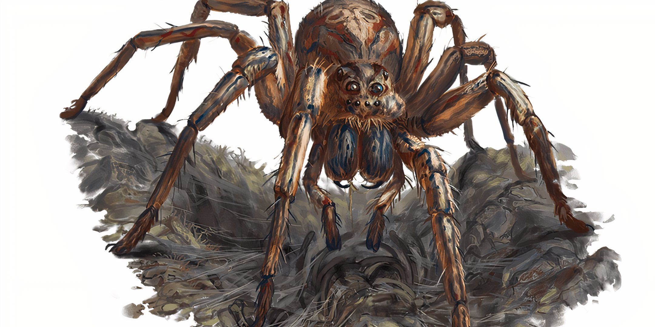 A giant wolf spider feasting on a corpse in Dungeons & Dragons.