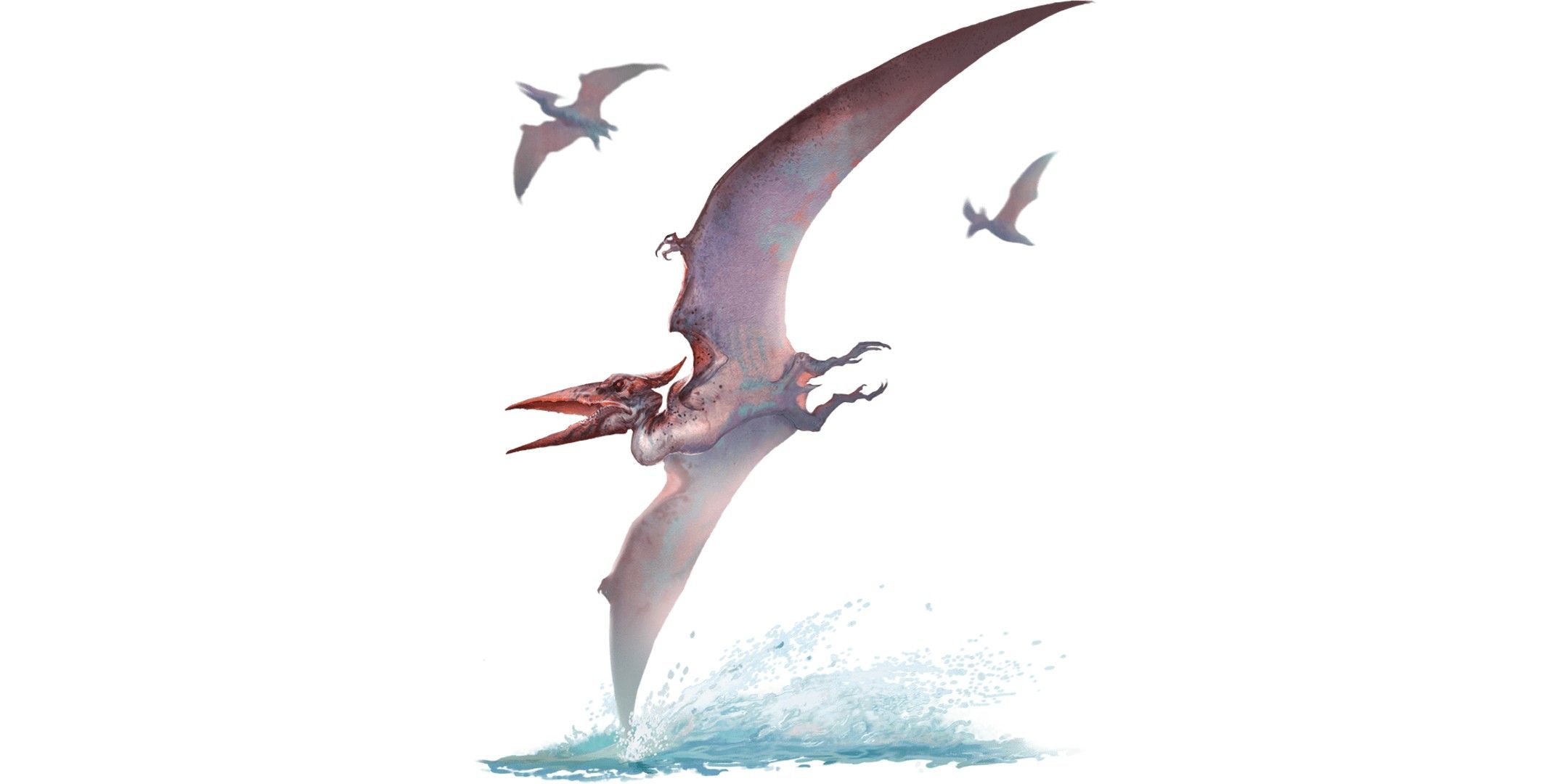 Danjons and the dragon image that features Patronoden.