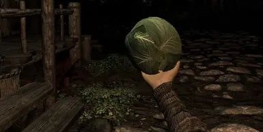 Skyrim: Holding up and inspecting a cabbage in VR.