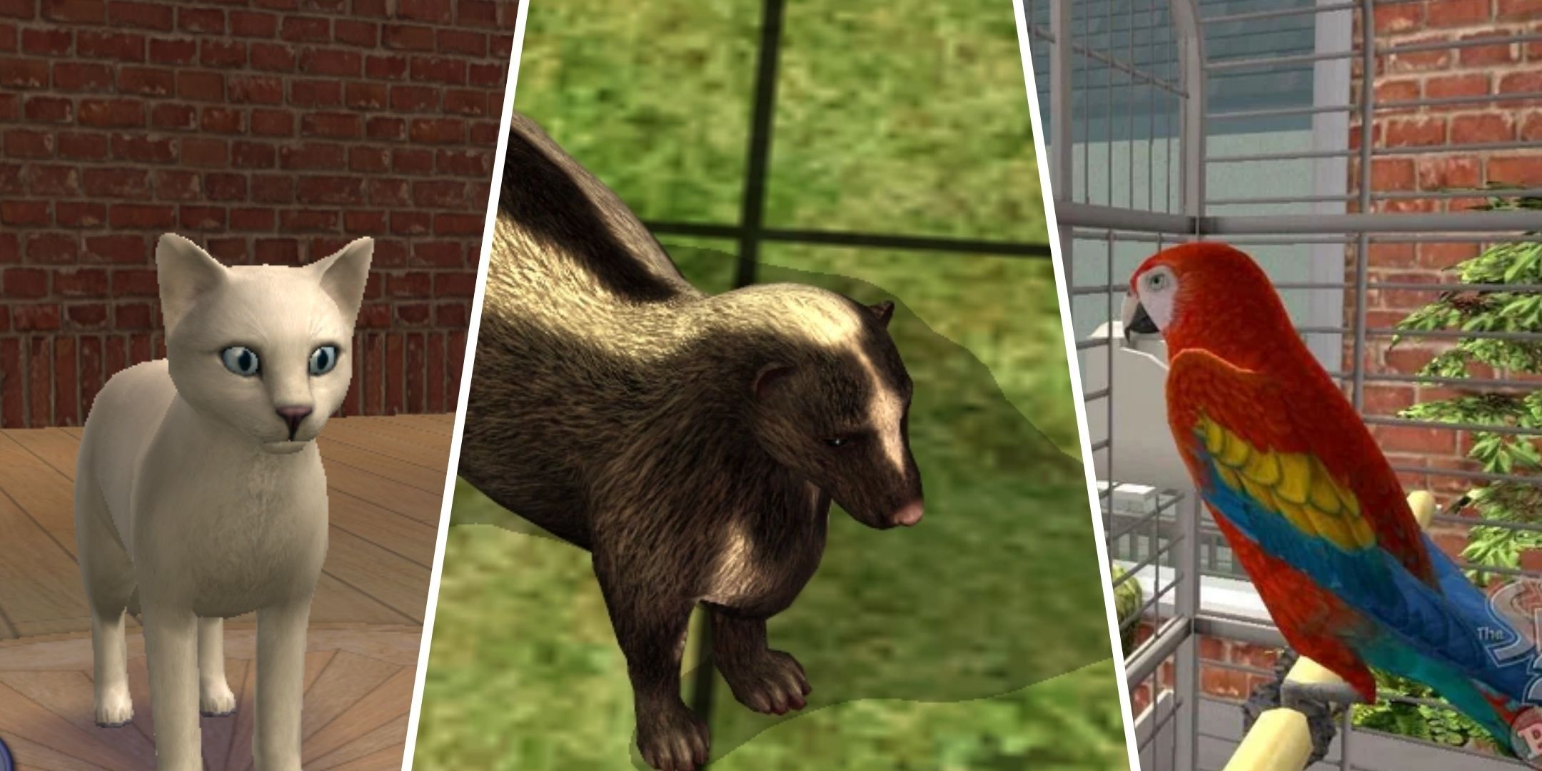 A cat, a skunk, and a parrot from The Sims 2. 