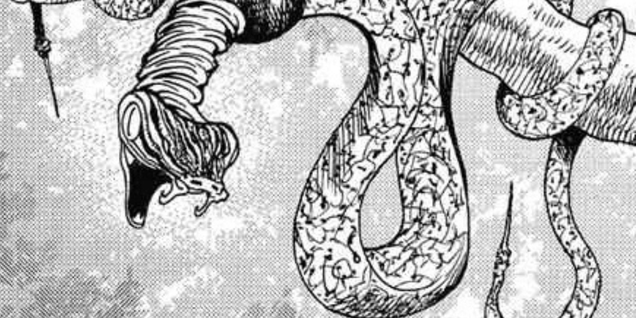 The Hellbell from Hunter x Hunter A vicious snake with two tails and a black lump.