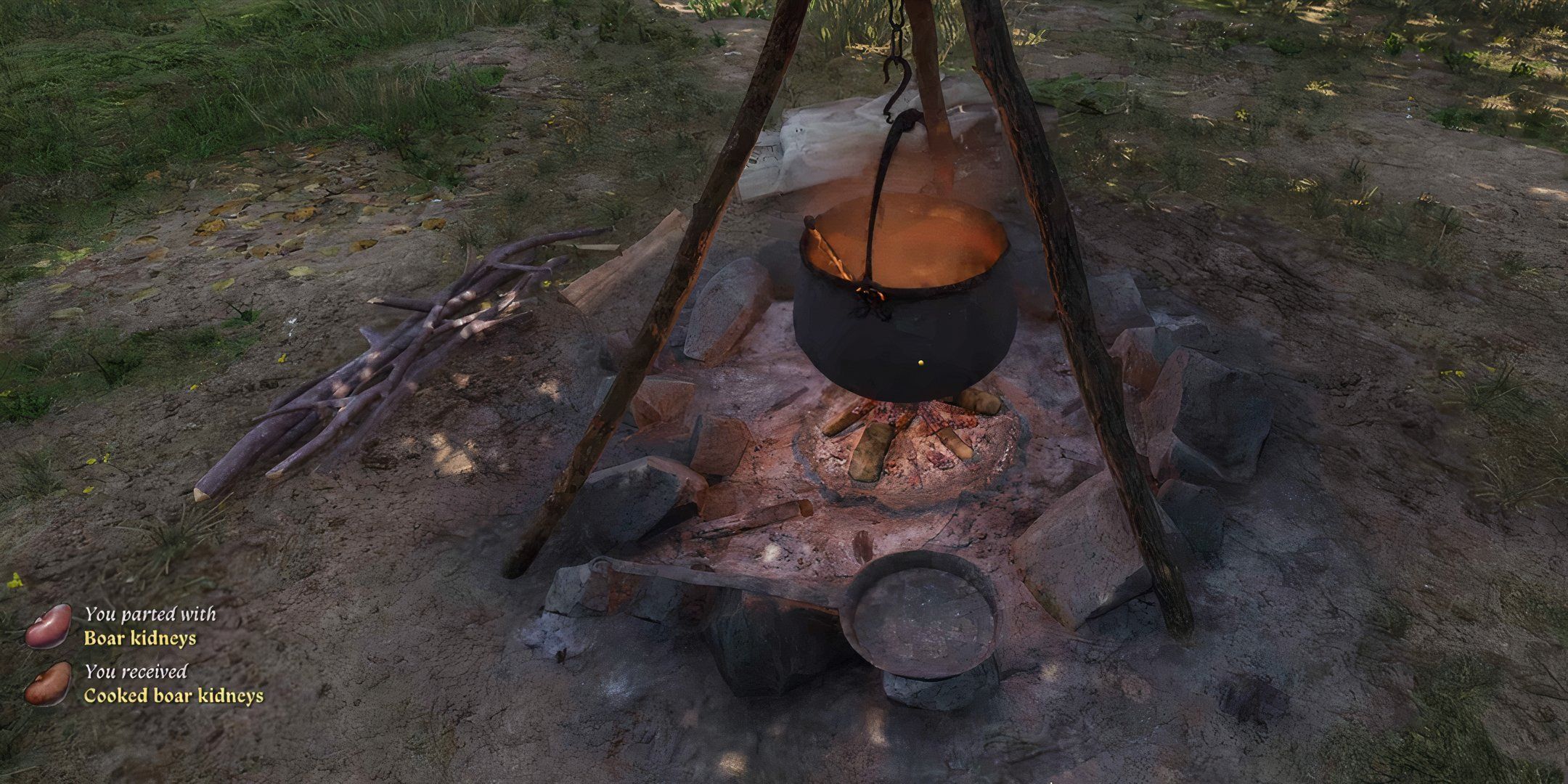 Cooking boar kidneys at a campfire in kingdom come deliverance 2.