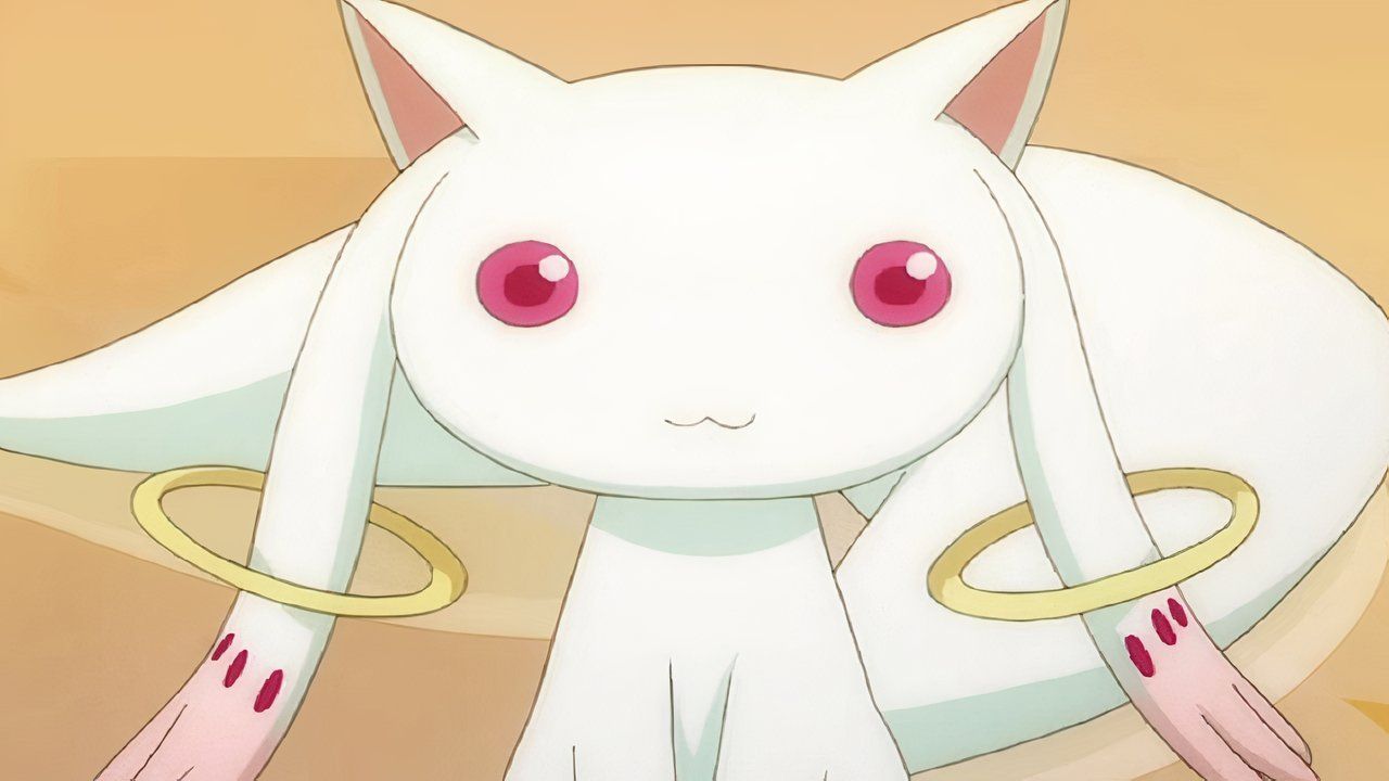 Pola Magi Madoka Majika's role is a close -up of Kobi, a close -up of Kobi.