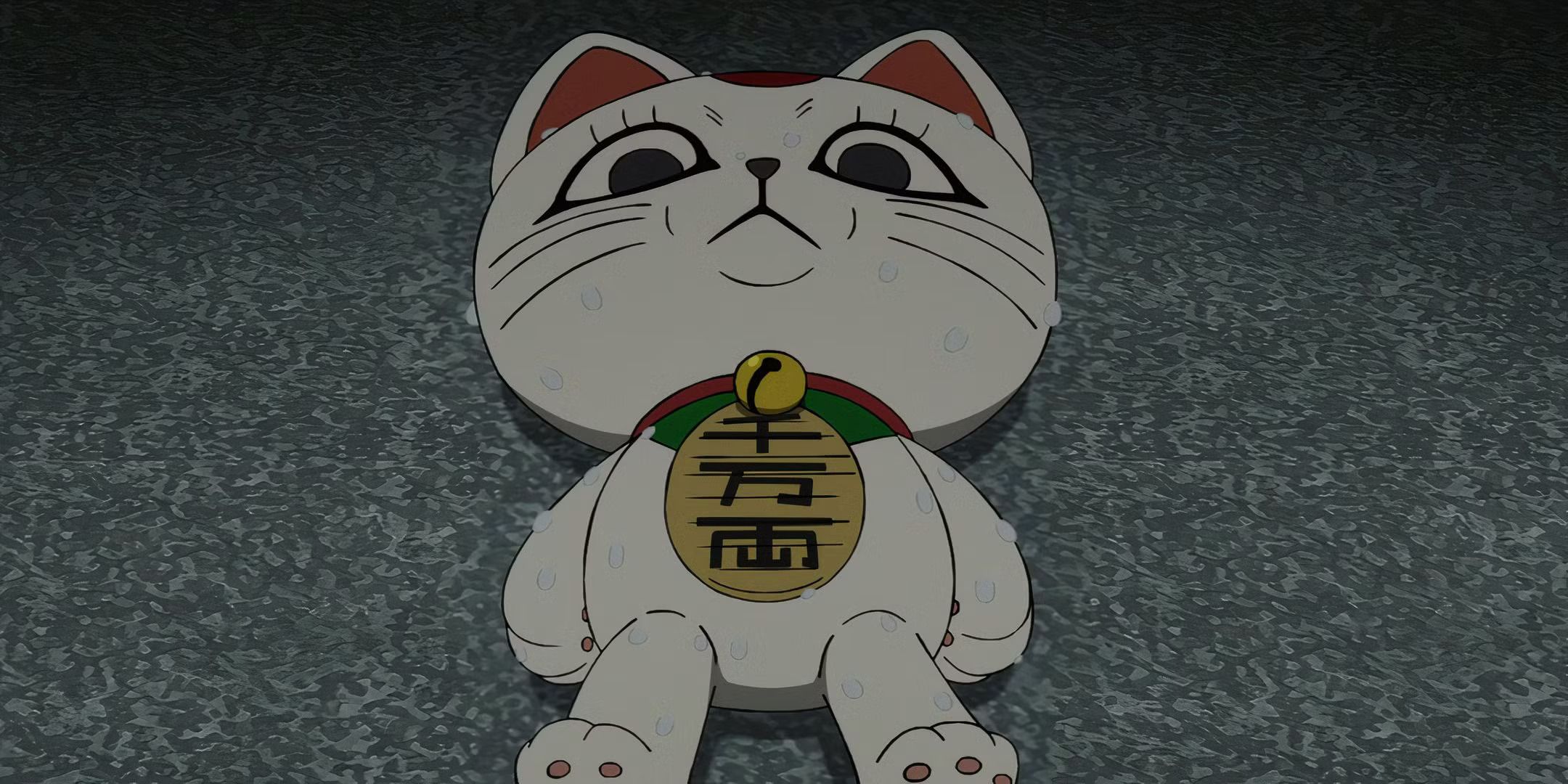 The cat's turbo grandmother sweats on the ground with Dan's anxiety.