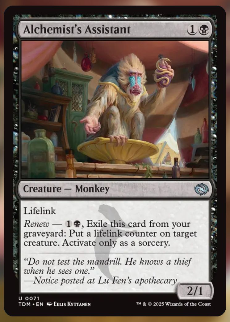 Magic The Gathering Alchemist&rsquo;s Assistant Card.