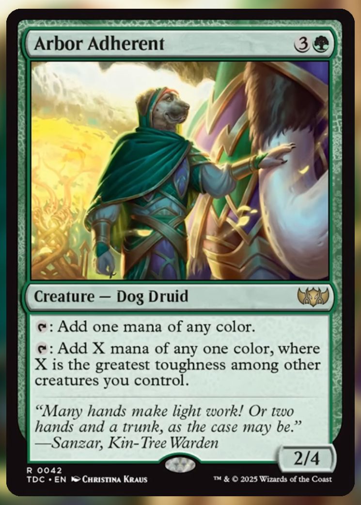 Magic The Gathering Arbor Adherent Card.