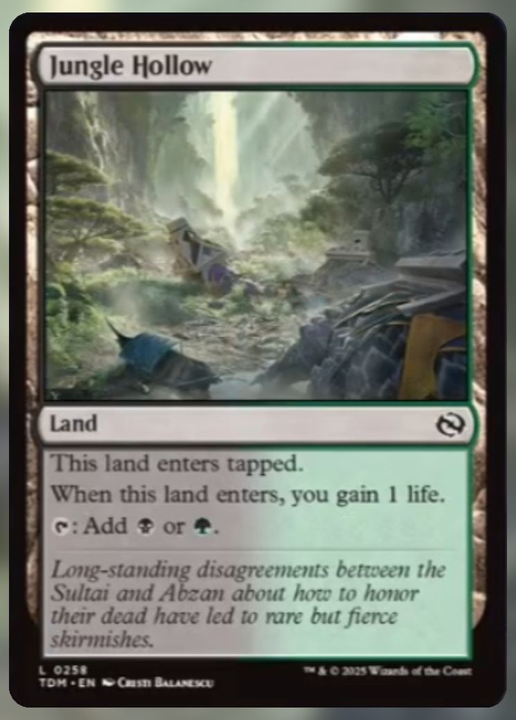 Magic The Gathering Jungle Hollow Card.