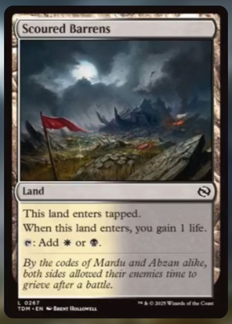 Magic The Gathering Scoured Barrens Card.