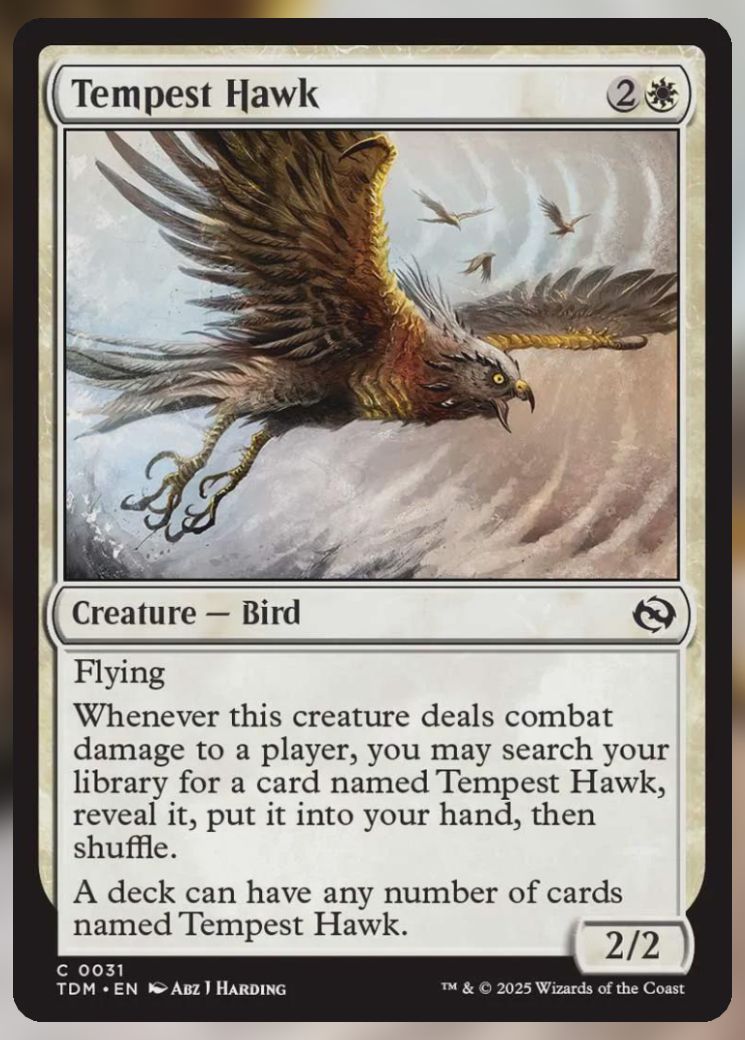 Magic The Gathering Tempest Hawk Card.