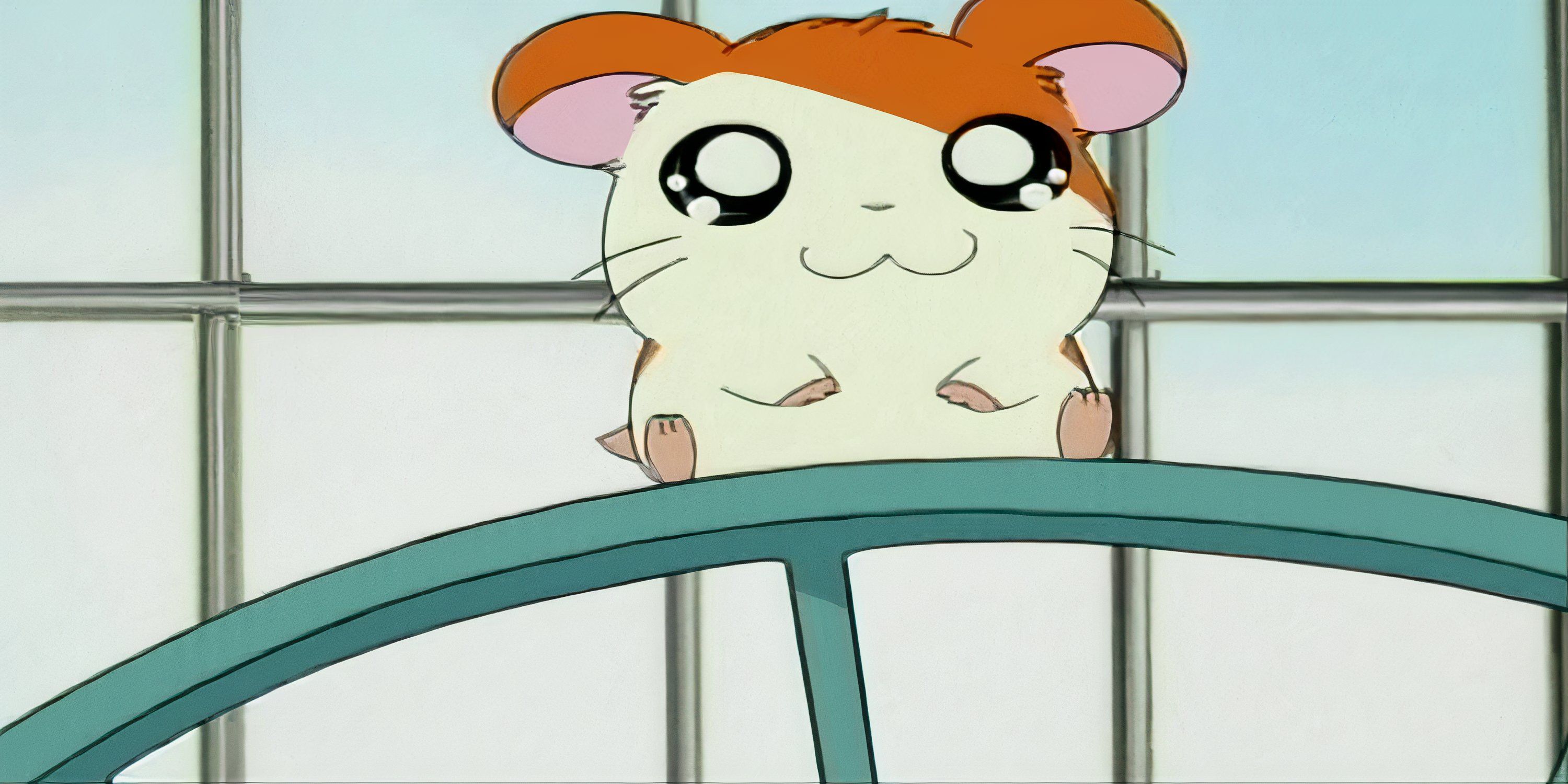 The girlfriend is sitting gently on the wheel.