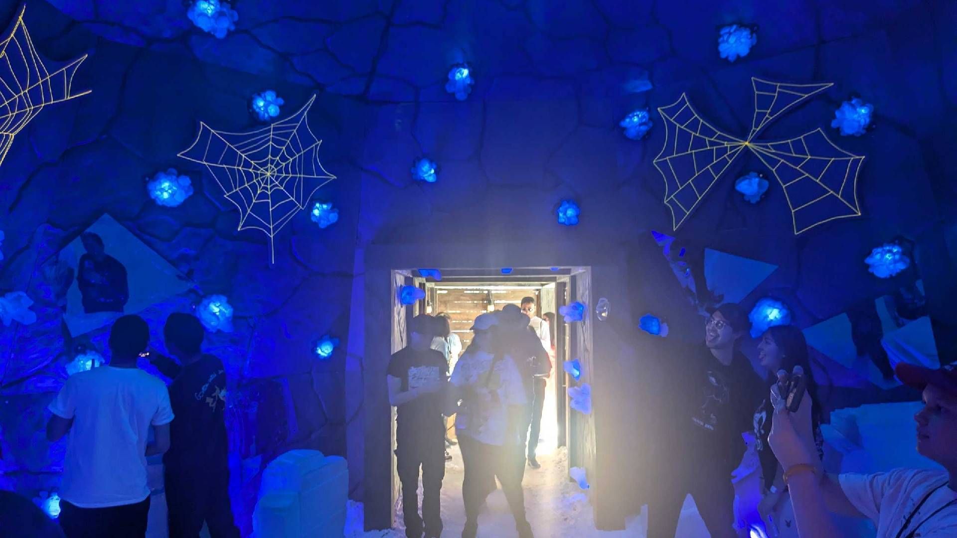 Pokemon Go Tour Unova Winter Cave