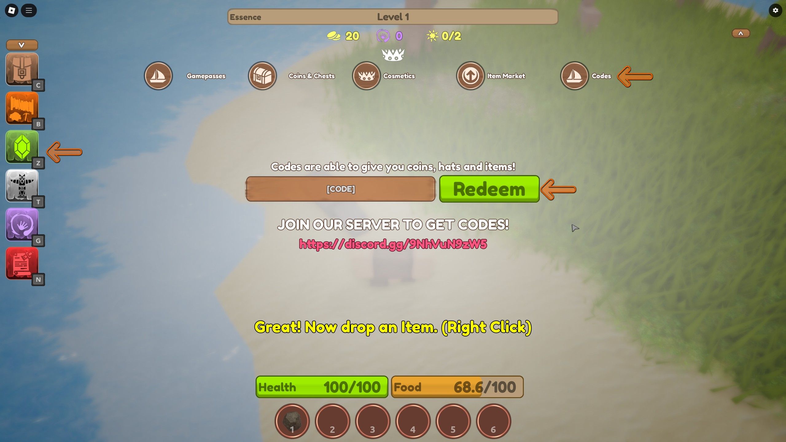 the codes box in The Ancient Isles on Roblox