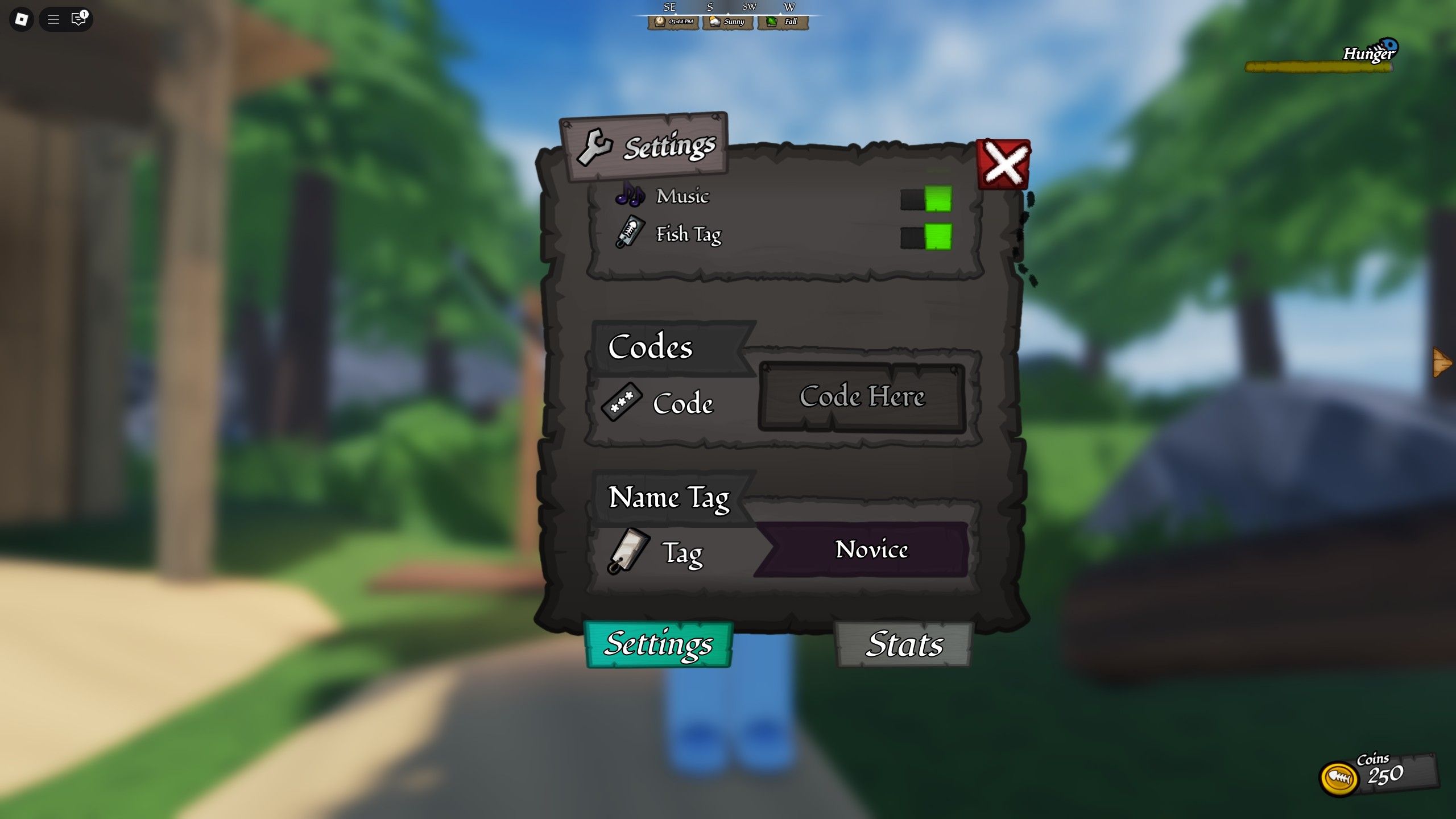 the codes box in Catch on Roblox