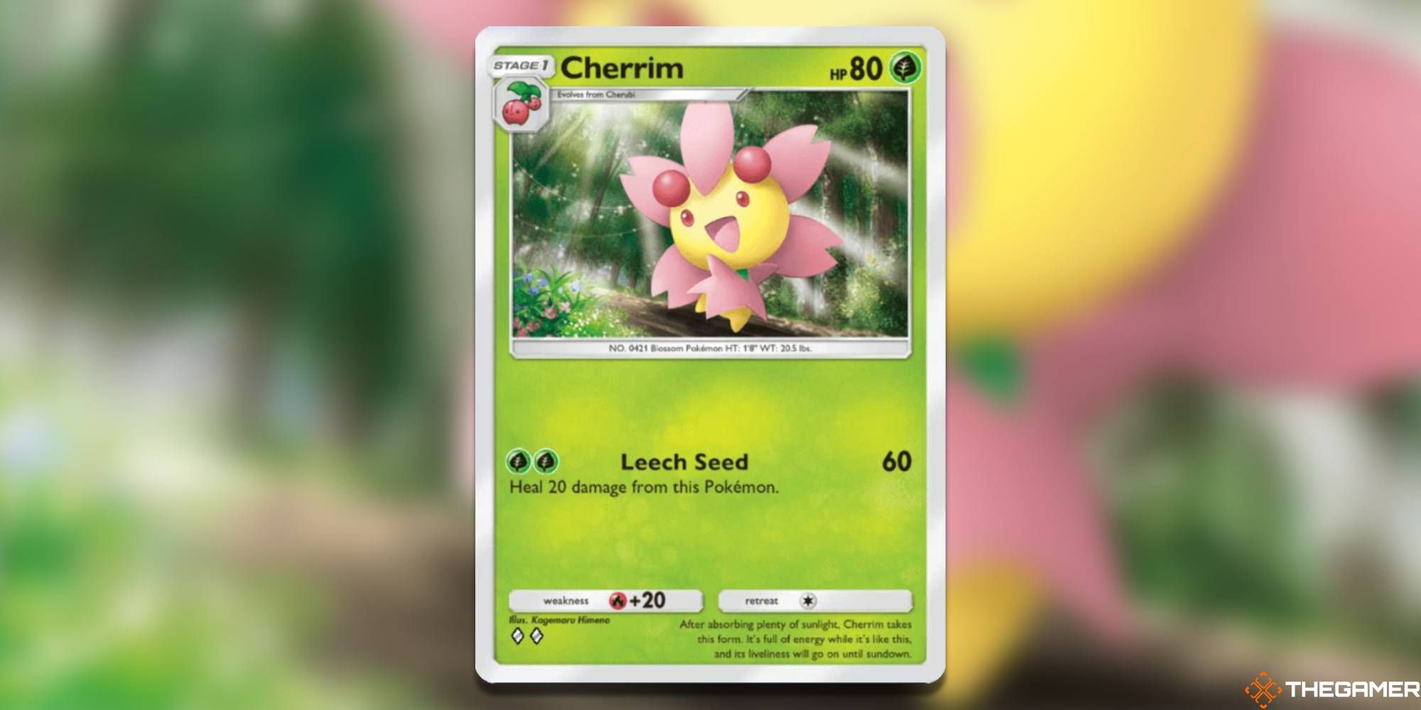 Sunshine Cherrim card from Triumphant Light Pokemon Pocket.