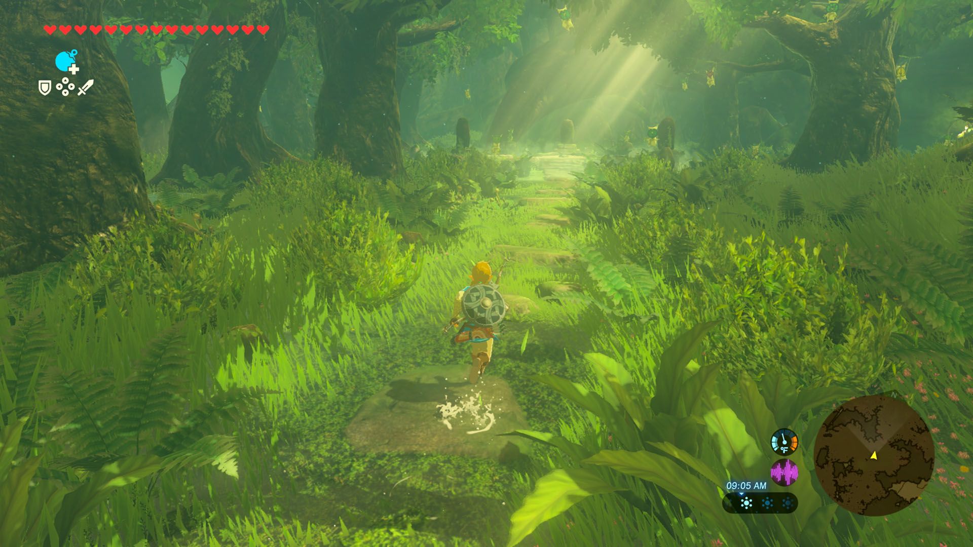 Breath of the Wild&rsquo;s Korok Forest on Switch 2