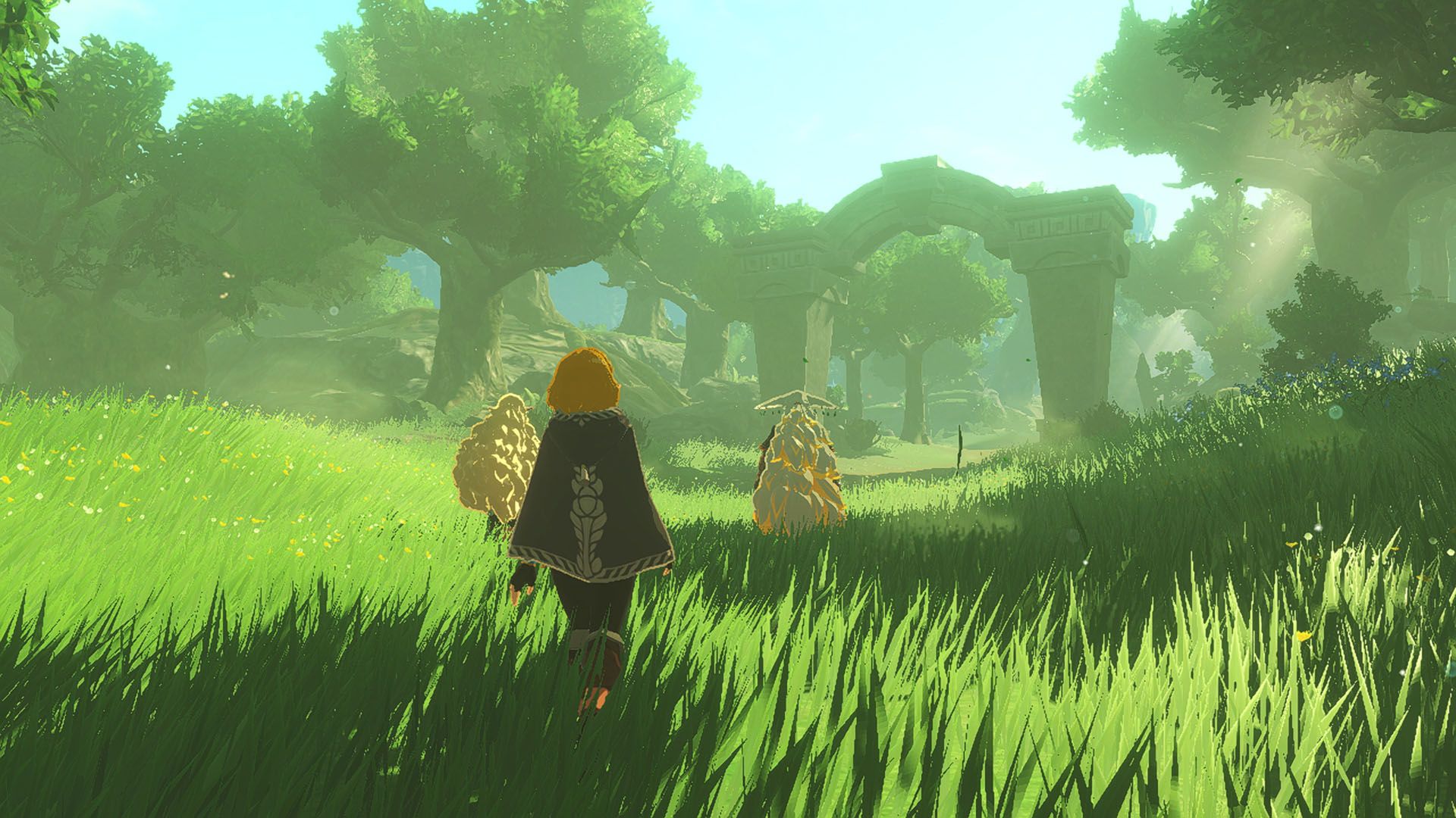 Hyrule Warriors: سن حبس
