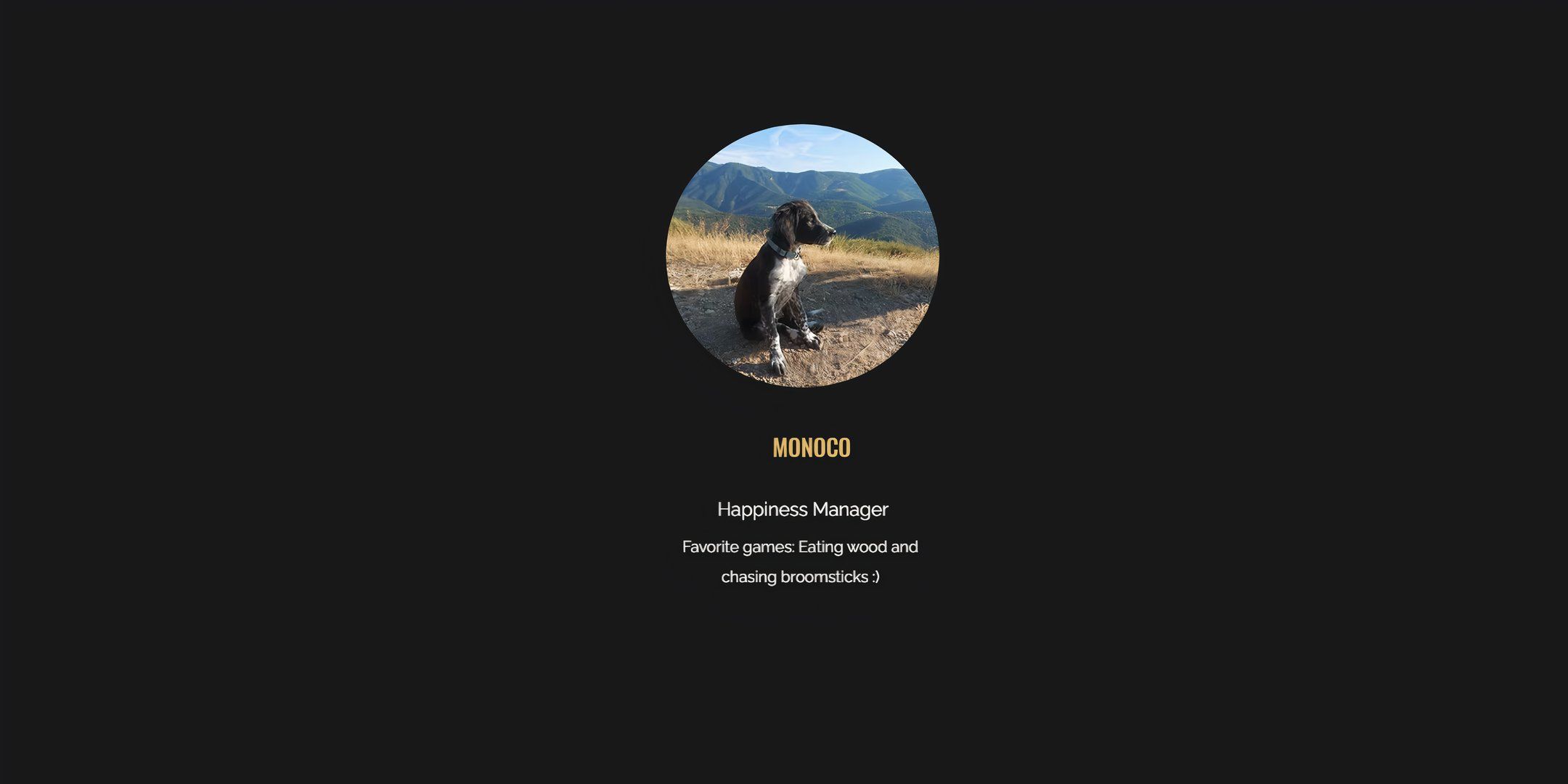 monoco page from sandfall interactive staff page.