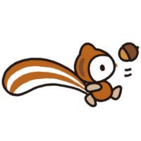Nuts Sanrio character on a white background.