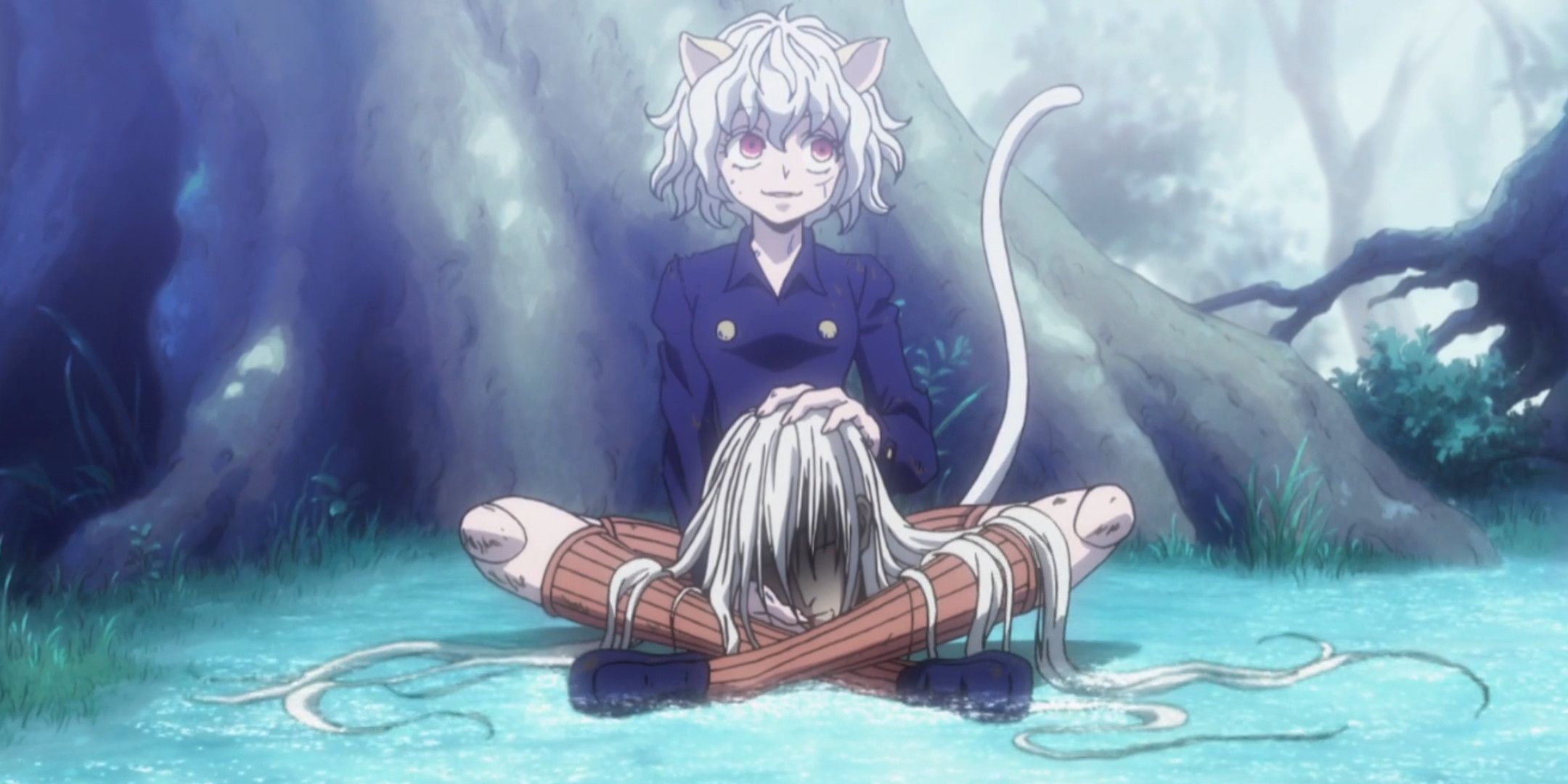 Is Pitou A Boy Or Girl In HXH?