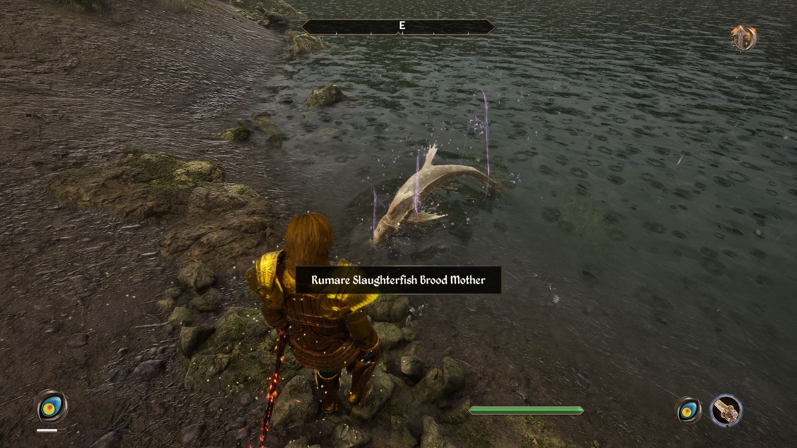 Player is looking at a Rumare Slaughterfish - Oblivion Remastered