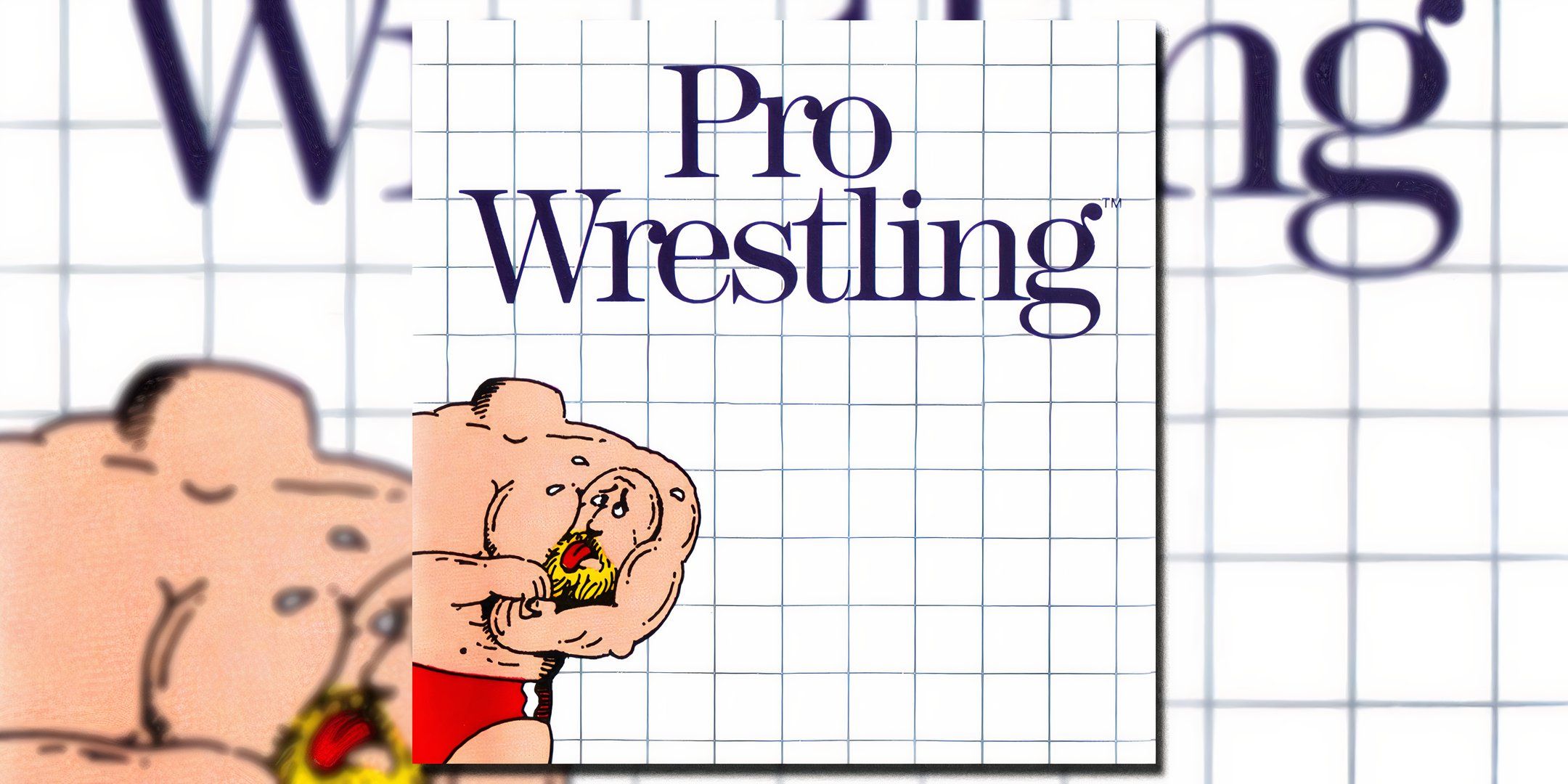 Box art cover for Box Wrestling.