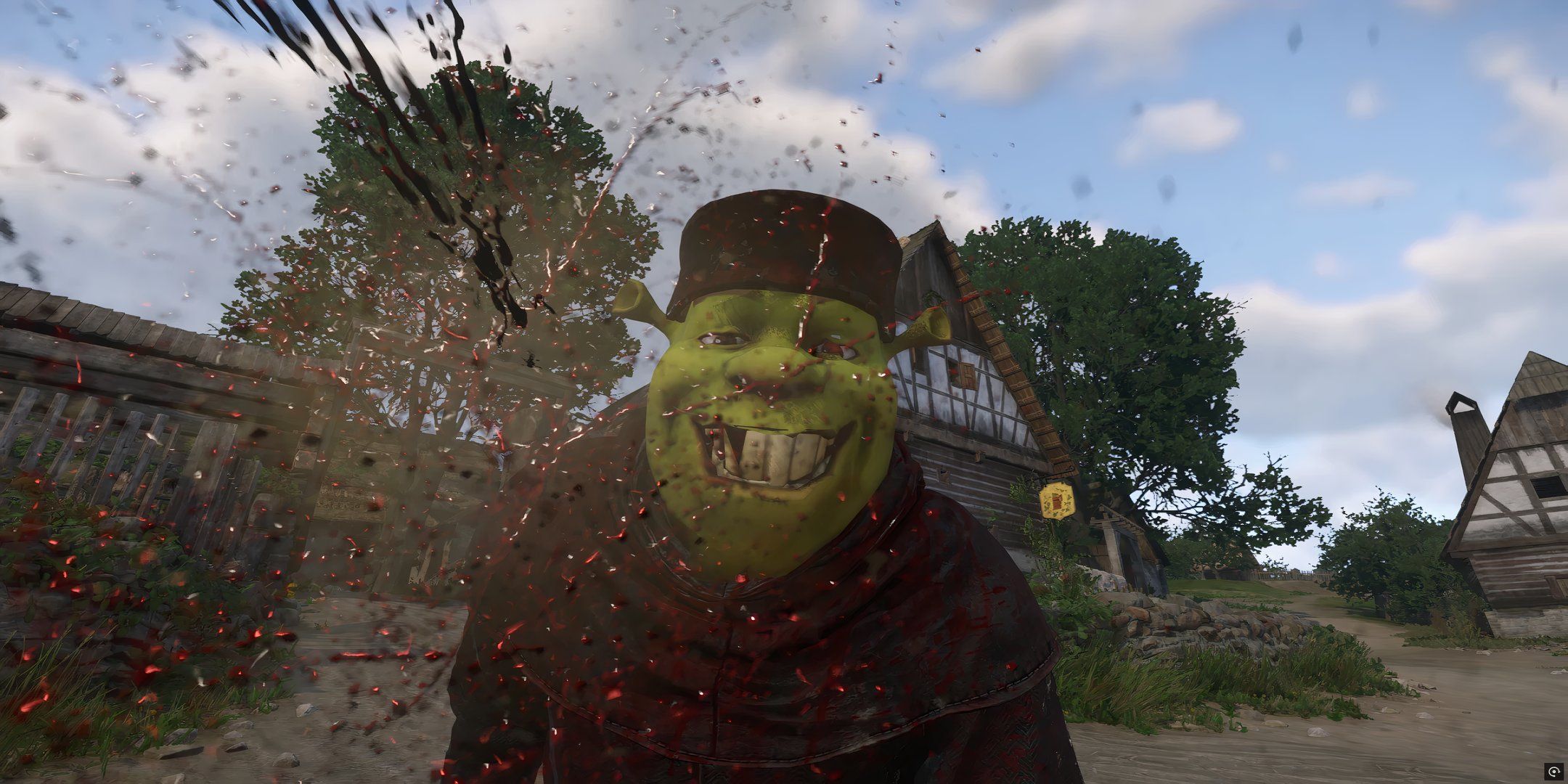 shrek looking at blood spatters in kingdom come deliverance 2.