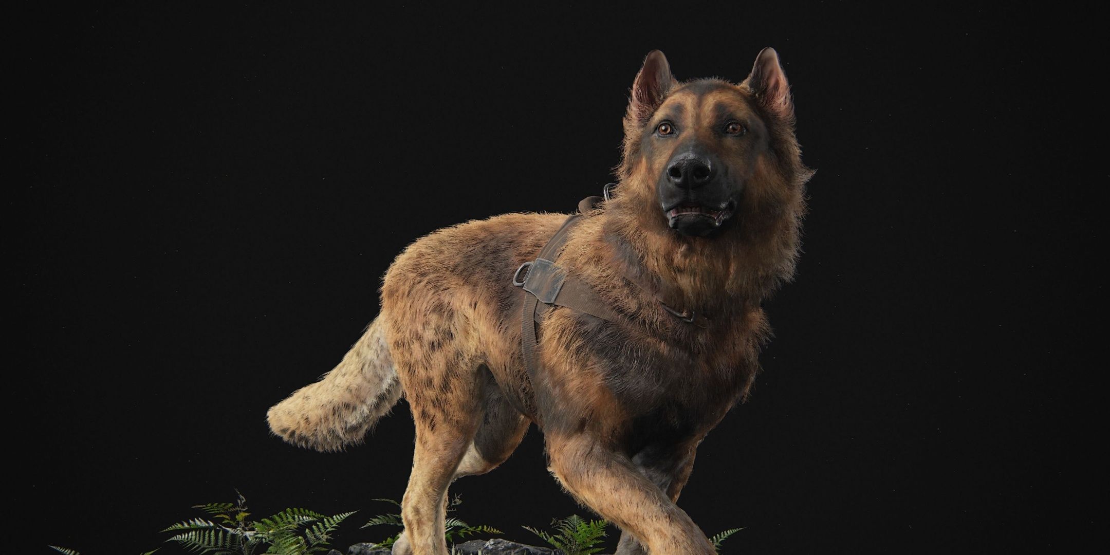 Ellis the dog's death in our last part 2