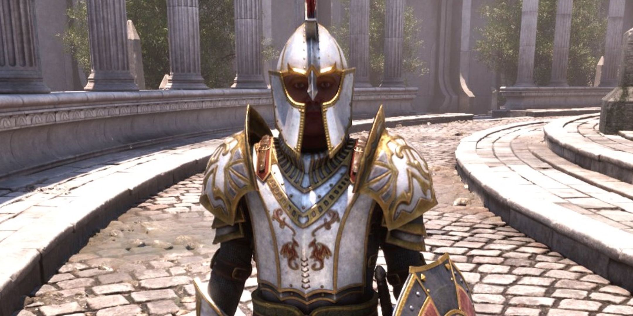 Oblivion Remastered Palace Guard
