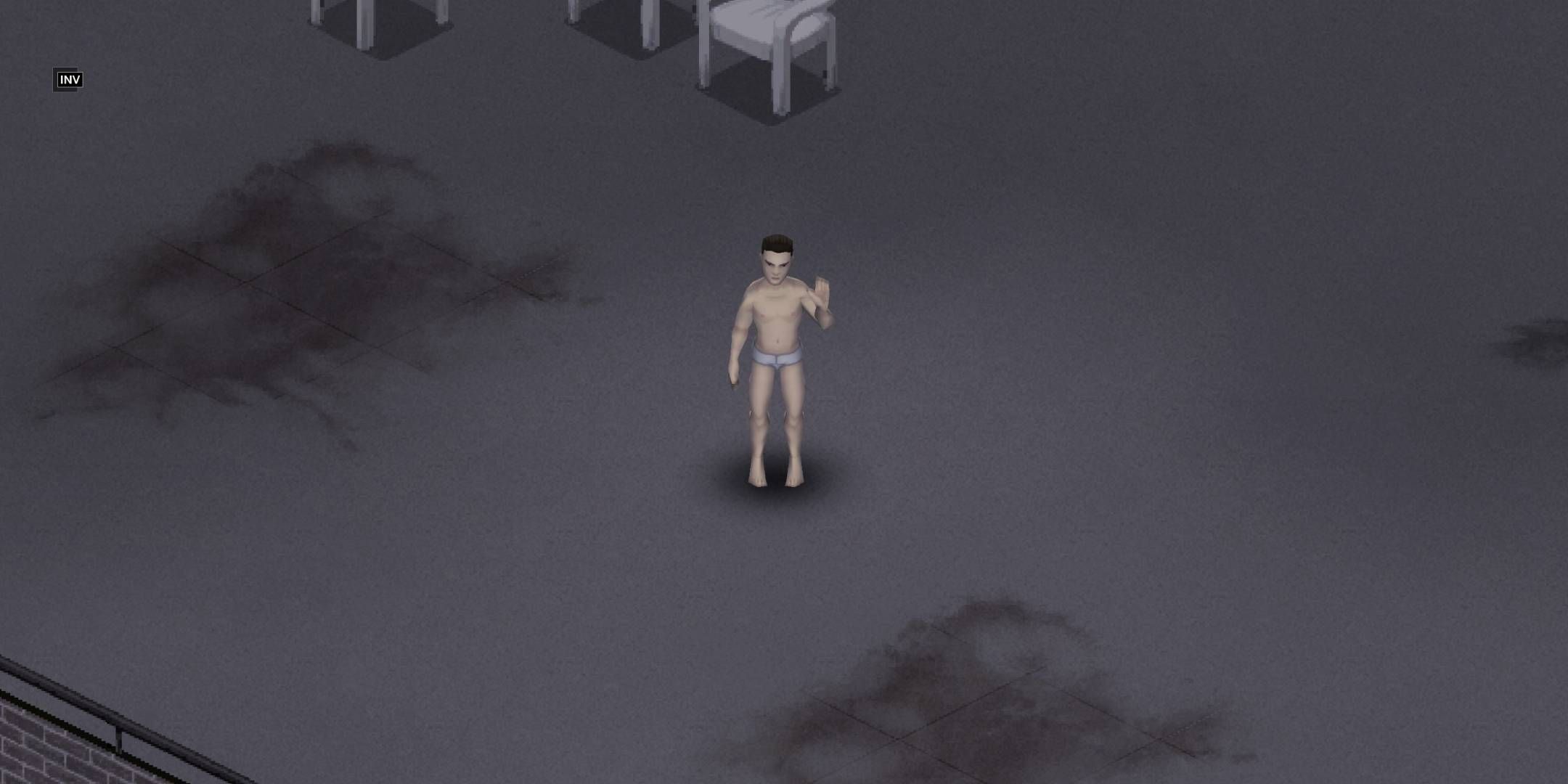 پروژه Zomboid