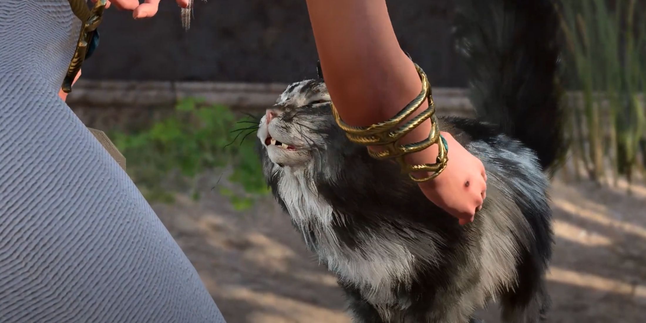 Petting a cat in Baldur's Gate 3.