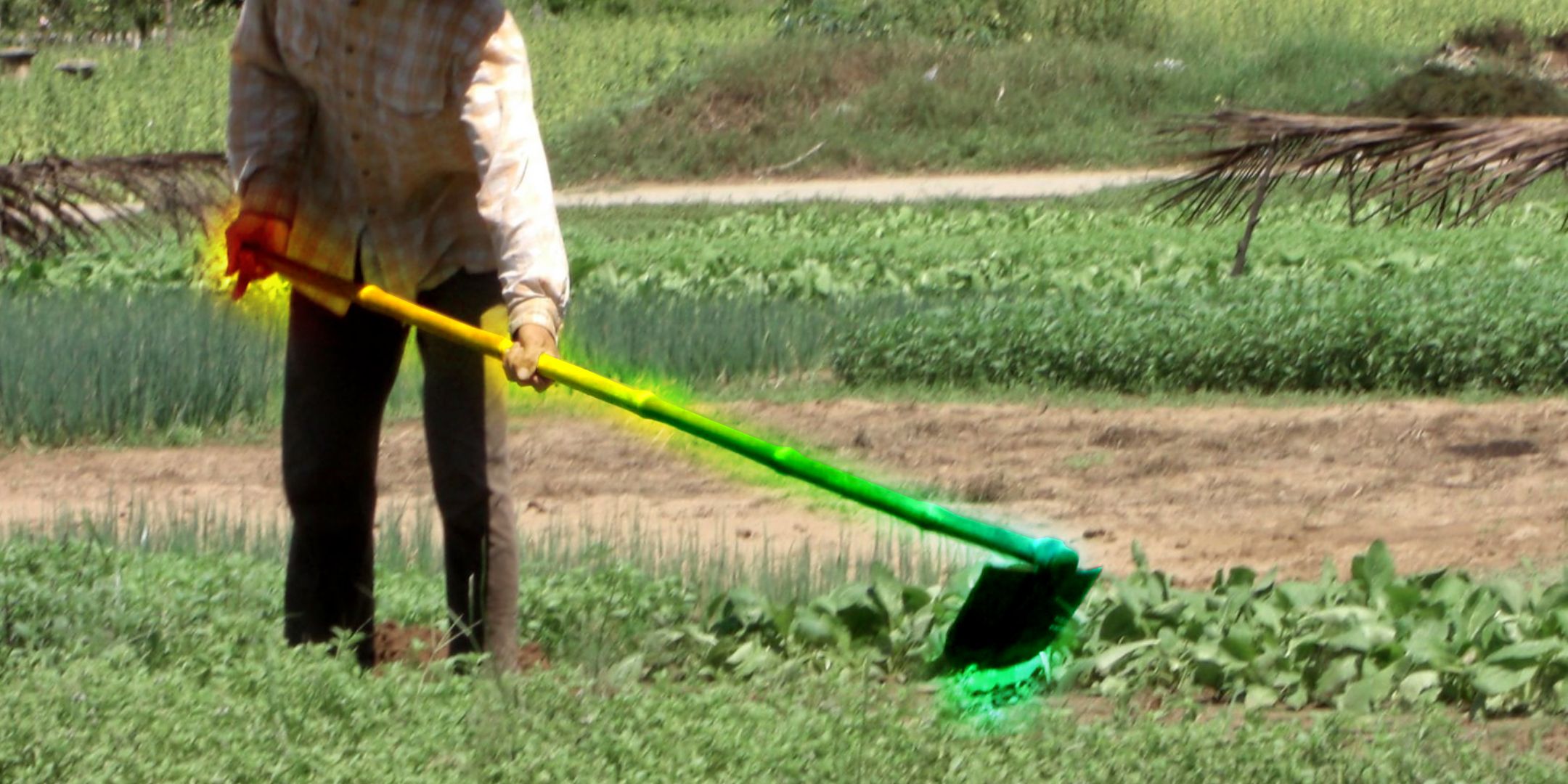 The farmer uses a leg in a field, but the spade is shining a color of color.