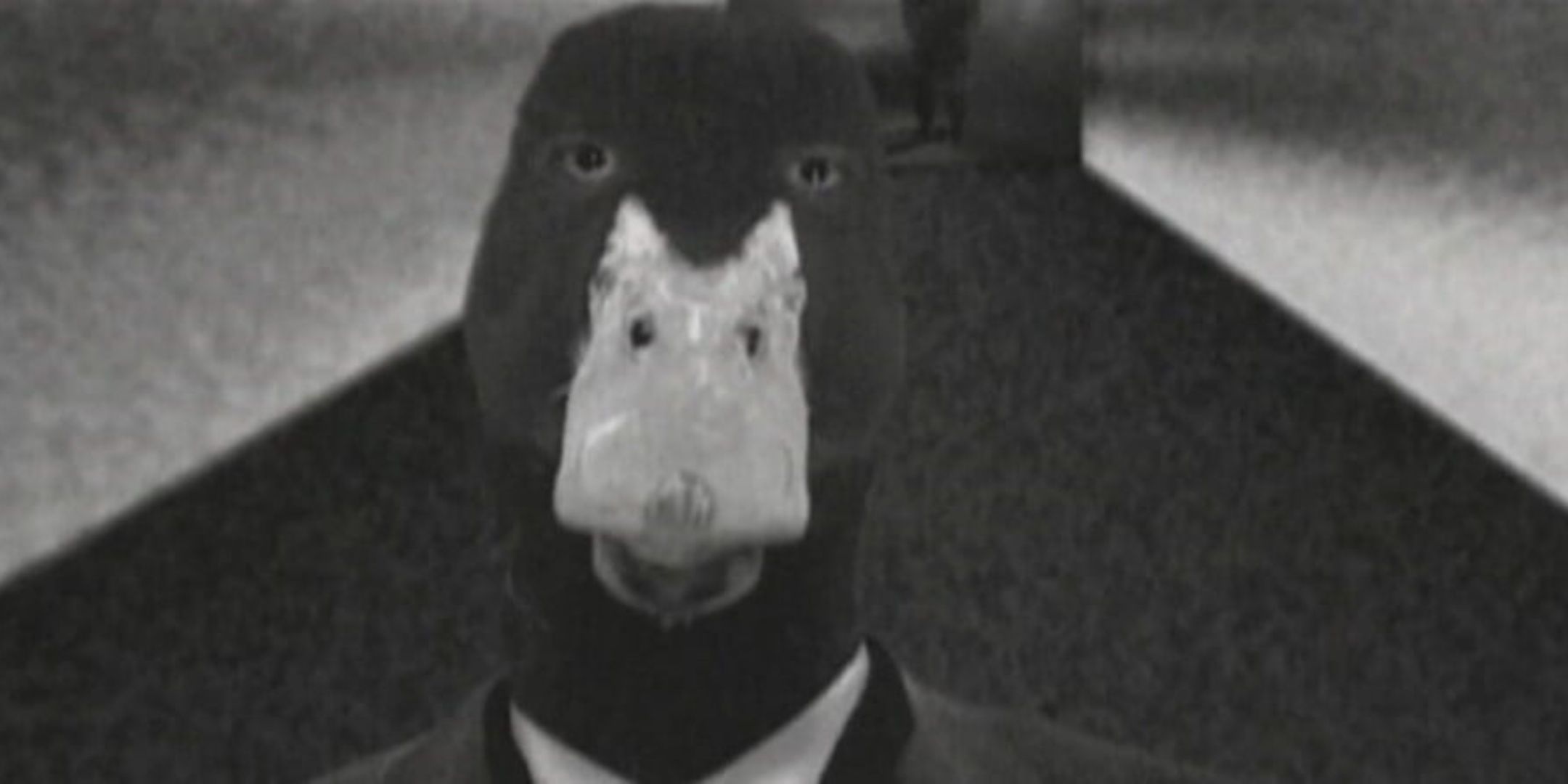 A duck in black and white for the welcome to the third space ad.