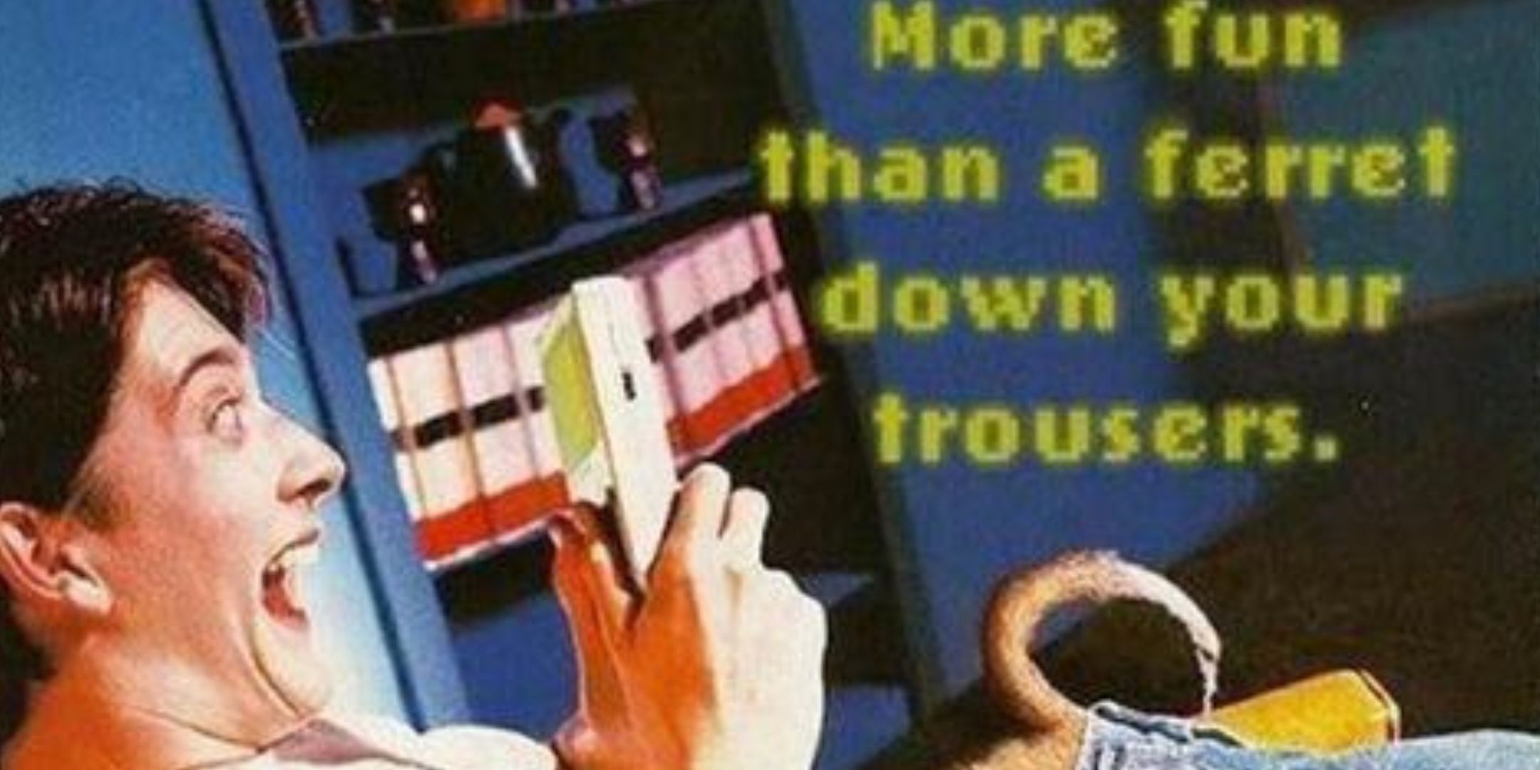 more fun than a ferret game boy ad.