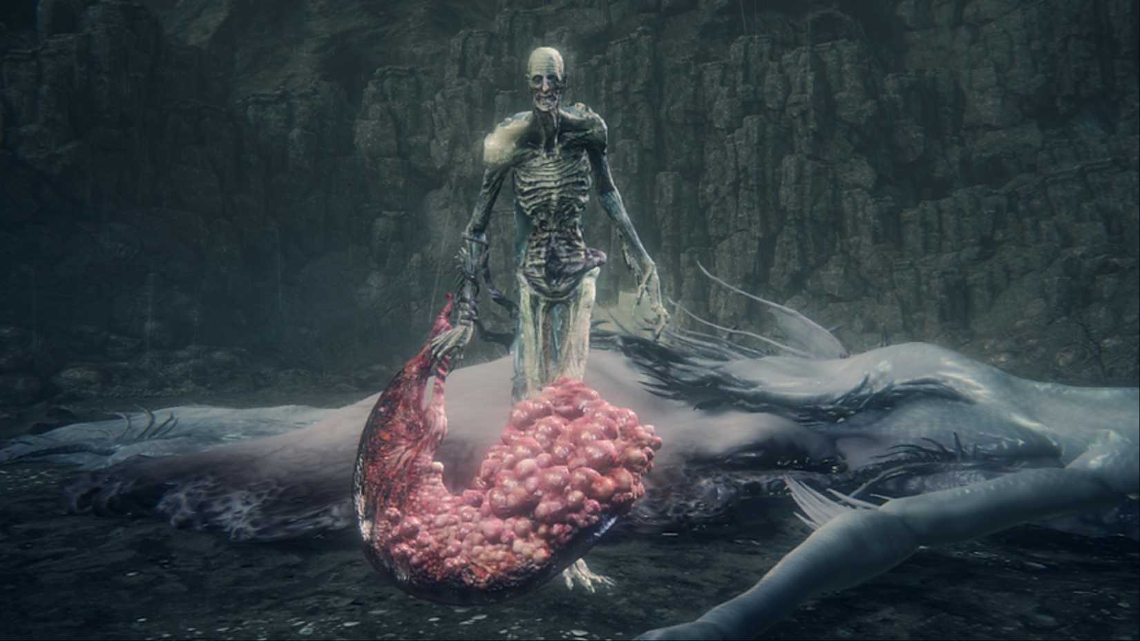 The orphan of Kos, who walked towards the camera, dominated his placenta as a weapon in Bloodborne: The Old Hunters.
