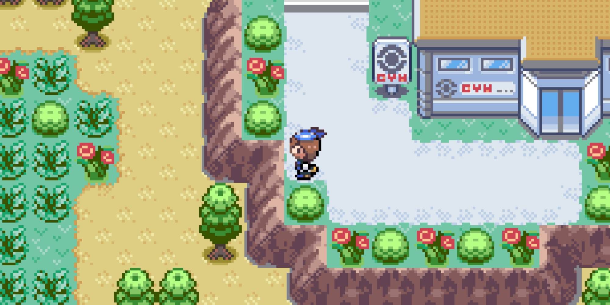 Pokemon Royal Sapphire Fan Project Expands On The Original By Adding A Bigger Story, Harder Bosses, And More