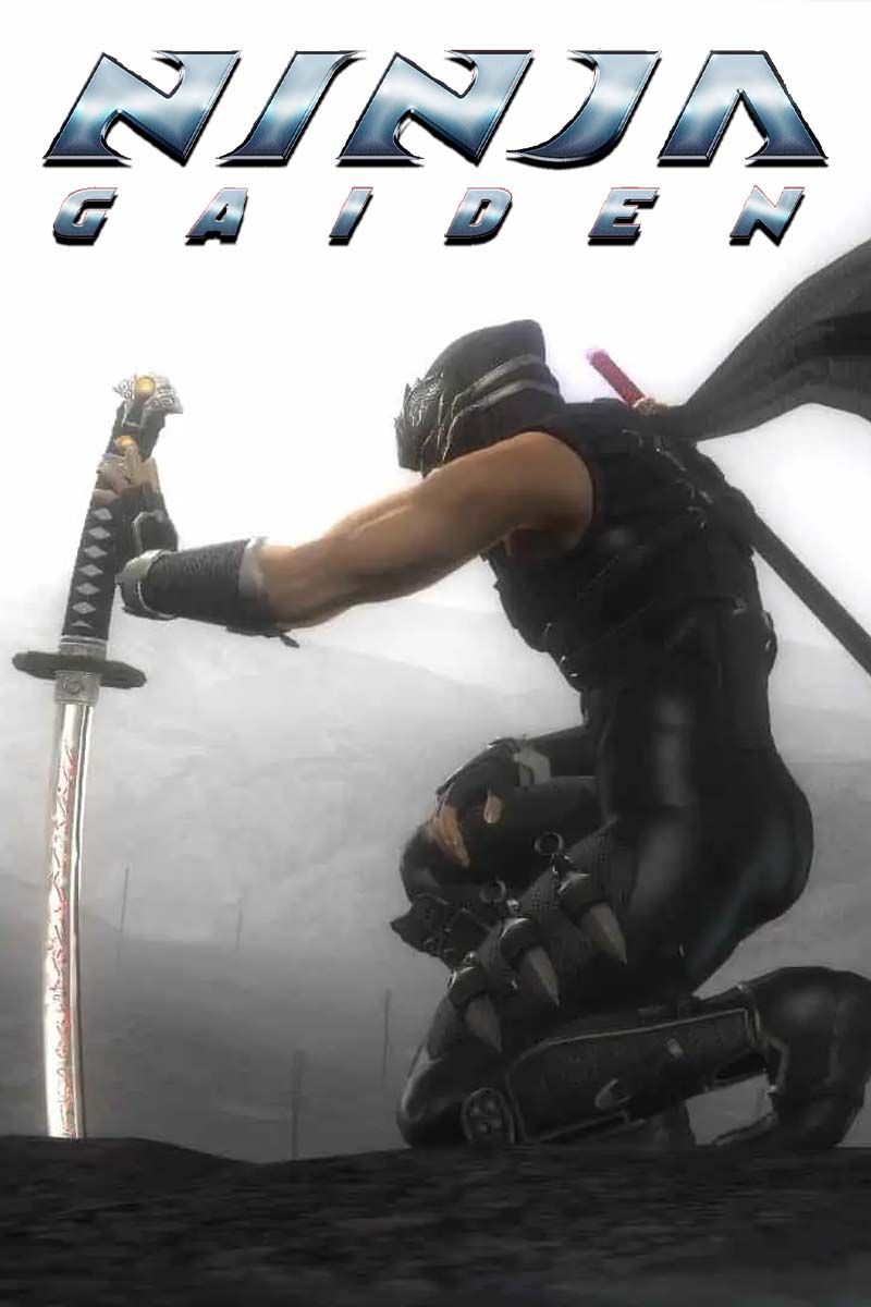 Ninja Gaiden | TheGamer