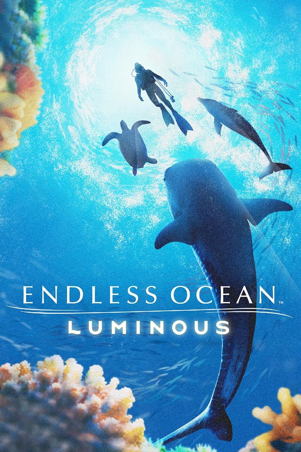 Endless Ocean Luminous Pre-Order Guide